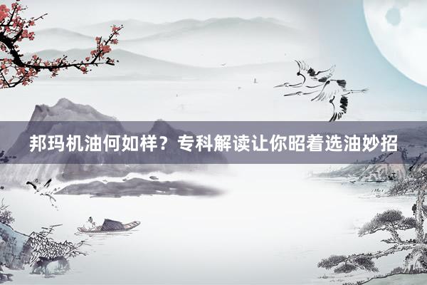 邦玛机油何如样？专科解读让你昭着选油妙招