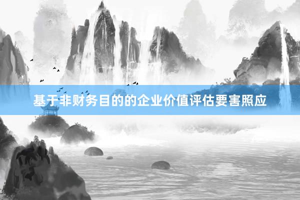 基于非财务目的的企业价值评估要害照应